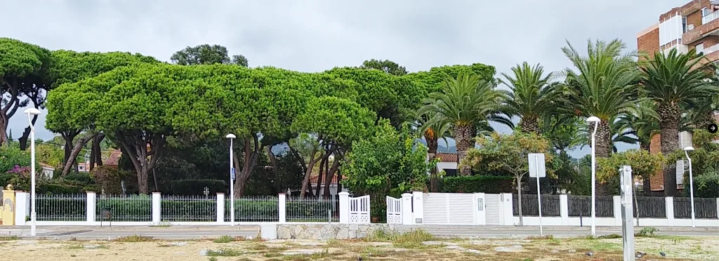 El paseo del Marqués de Casa Riera, frente a la casa