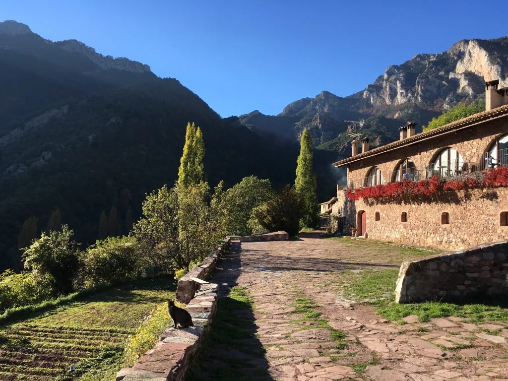 Camino empedrado del pueblo